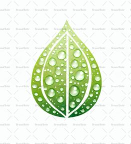 Tautropfen auf einem Blatt